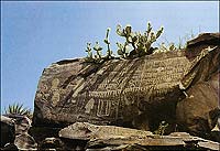 Tally mark - counting days or months, perhaps, or animals kills during hunting season - on a rock outcrop in northwestern Mexico.