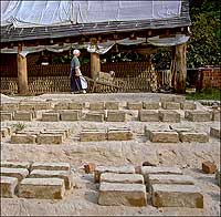 Bricks set out to dry in the sun