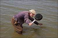 A frying pan proved a sorry tool for catching fish.