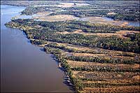 The series of sandbars comprising Jamestown Island made for a damp, marshy settling place.