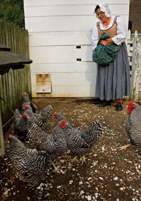 Elaine Shirley at feeding time.