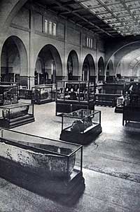 the Cairo Museum